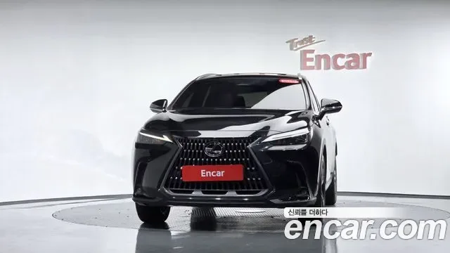 Lexus Nx NX350H, 2025 — фото 3