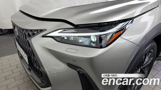 Lexus Nx NX350H, 2025 — фото 22