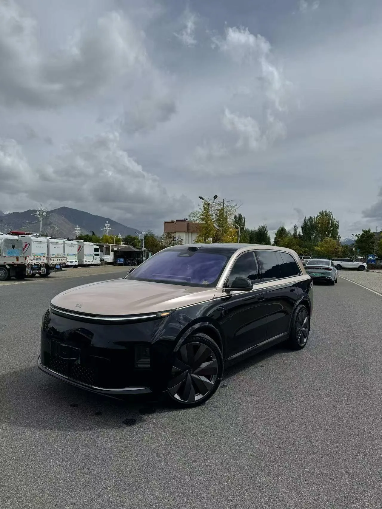 Li Auto Ideal L9
