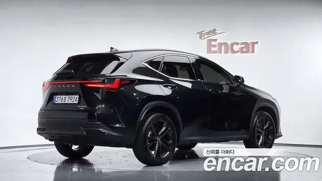 Lexus Nx NX350H, 2025 — фото 2