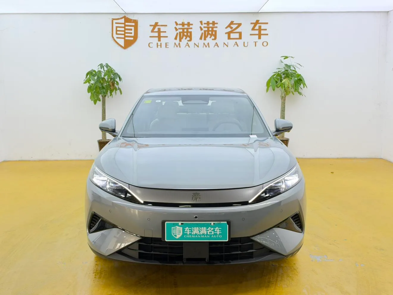 BYD QinMAX DM, 2026 — фото 2