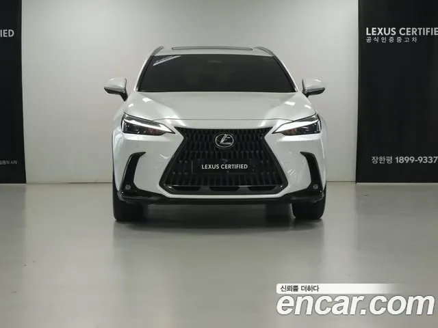 Lexus Nx Nx450h+, 2025 — фото 3