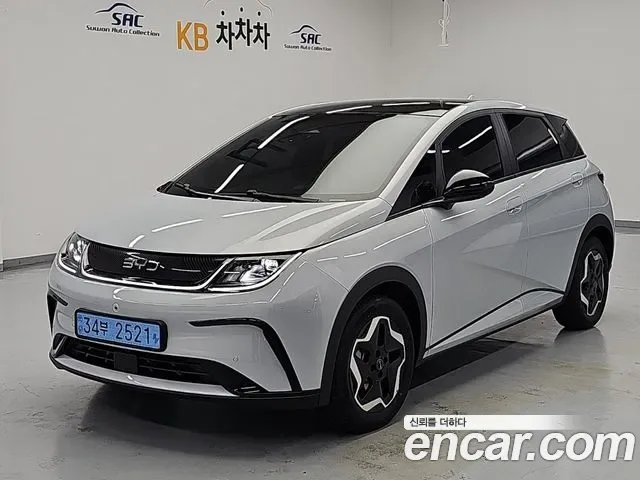 BYD Dolphin