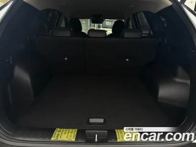 Hyundai Tucson NX4, 2024 — фото 15