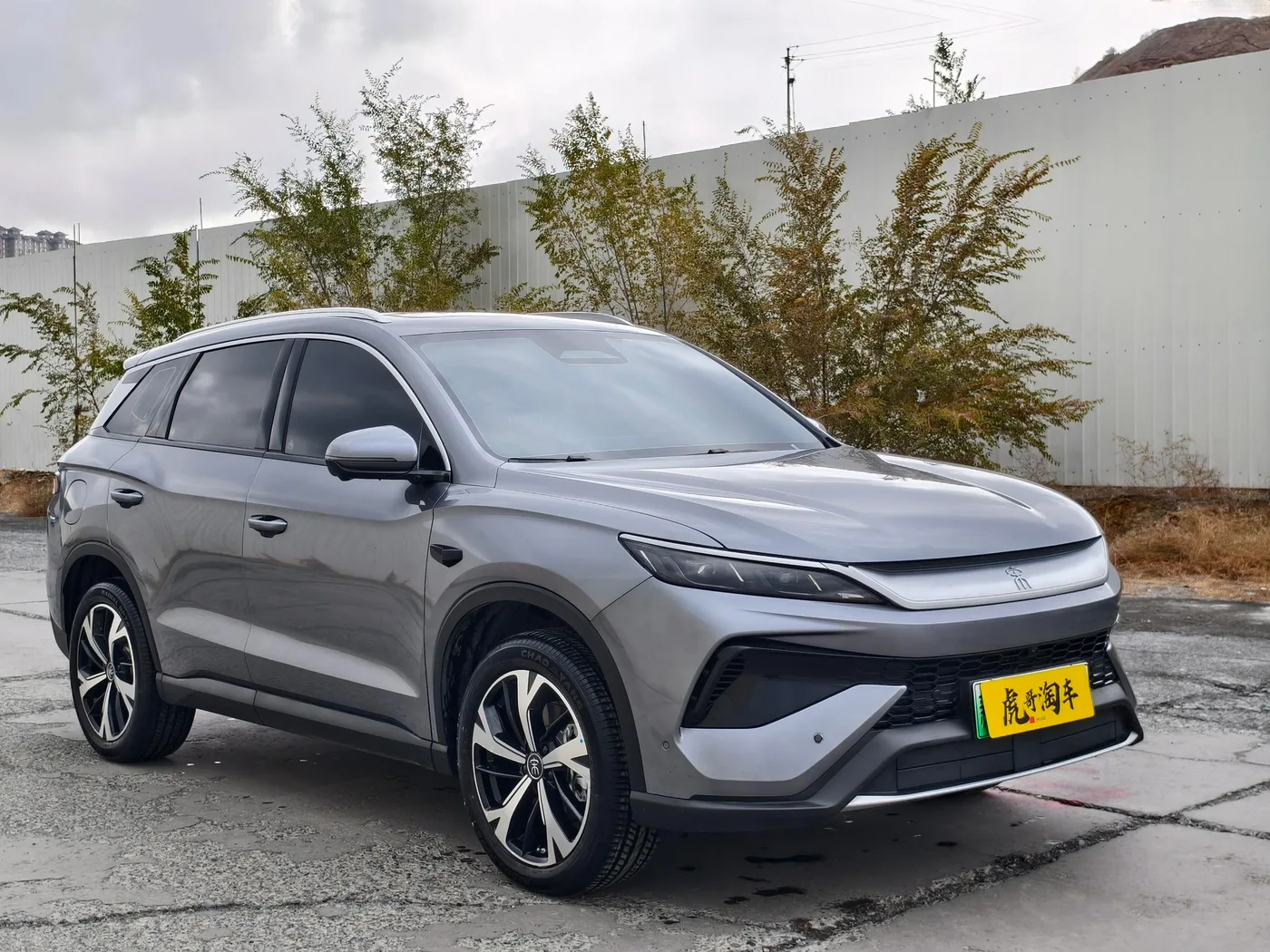 BYD Song Pro DM, 2026 — фото 3