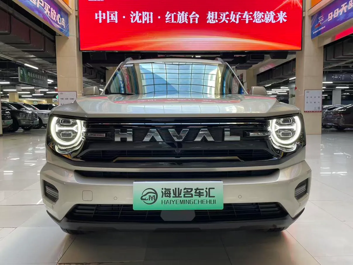 Haval Havaldog PLUS PHEV, 2026 — фото 2