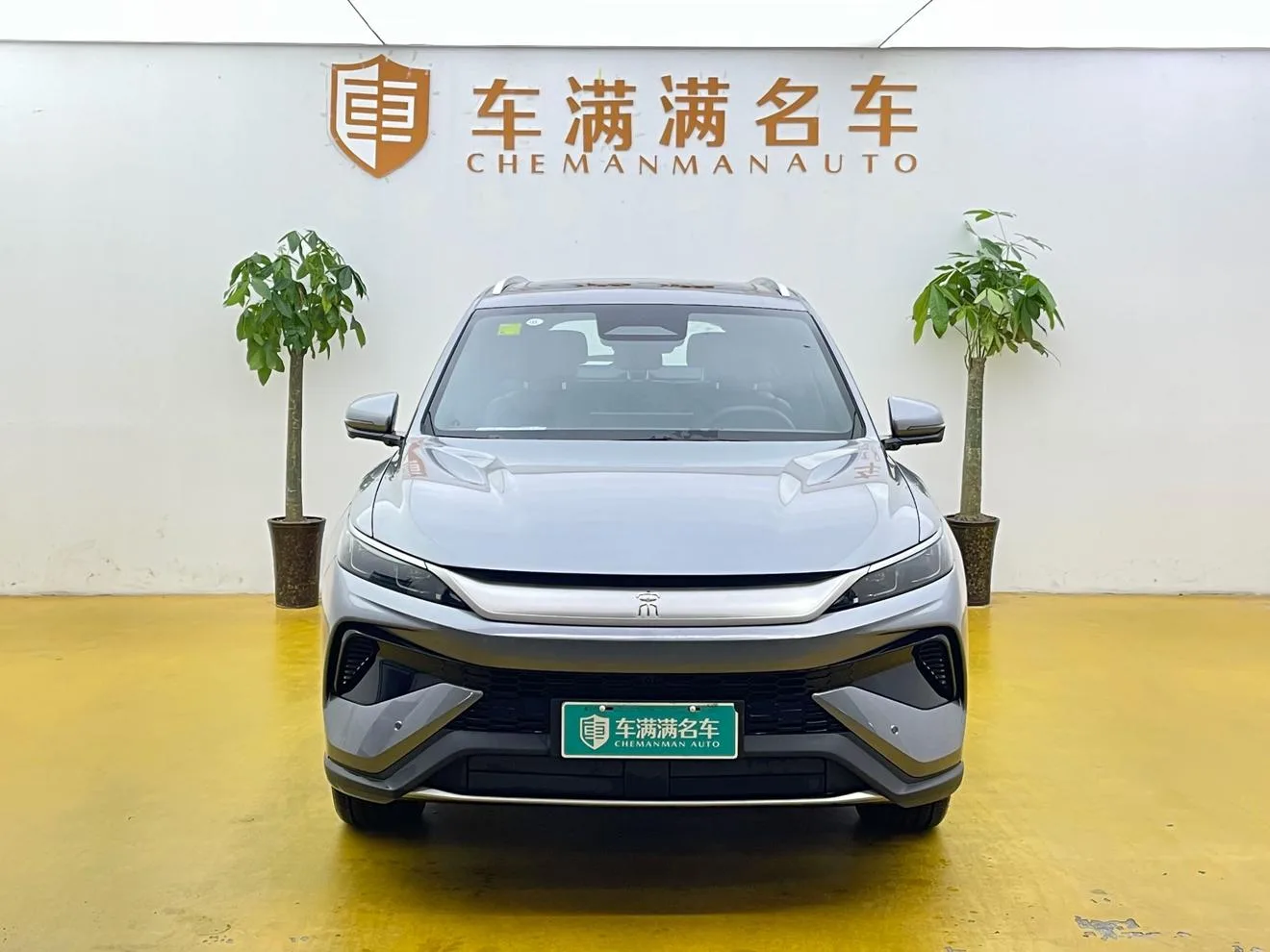 BYD Song Pro DM, 2026 — фото 2
