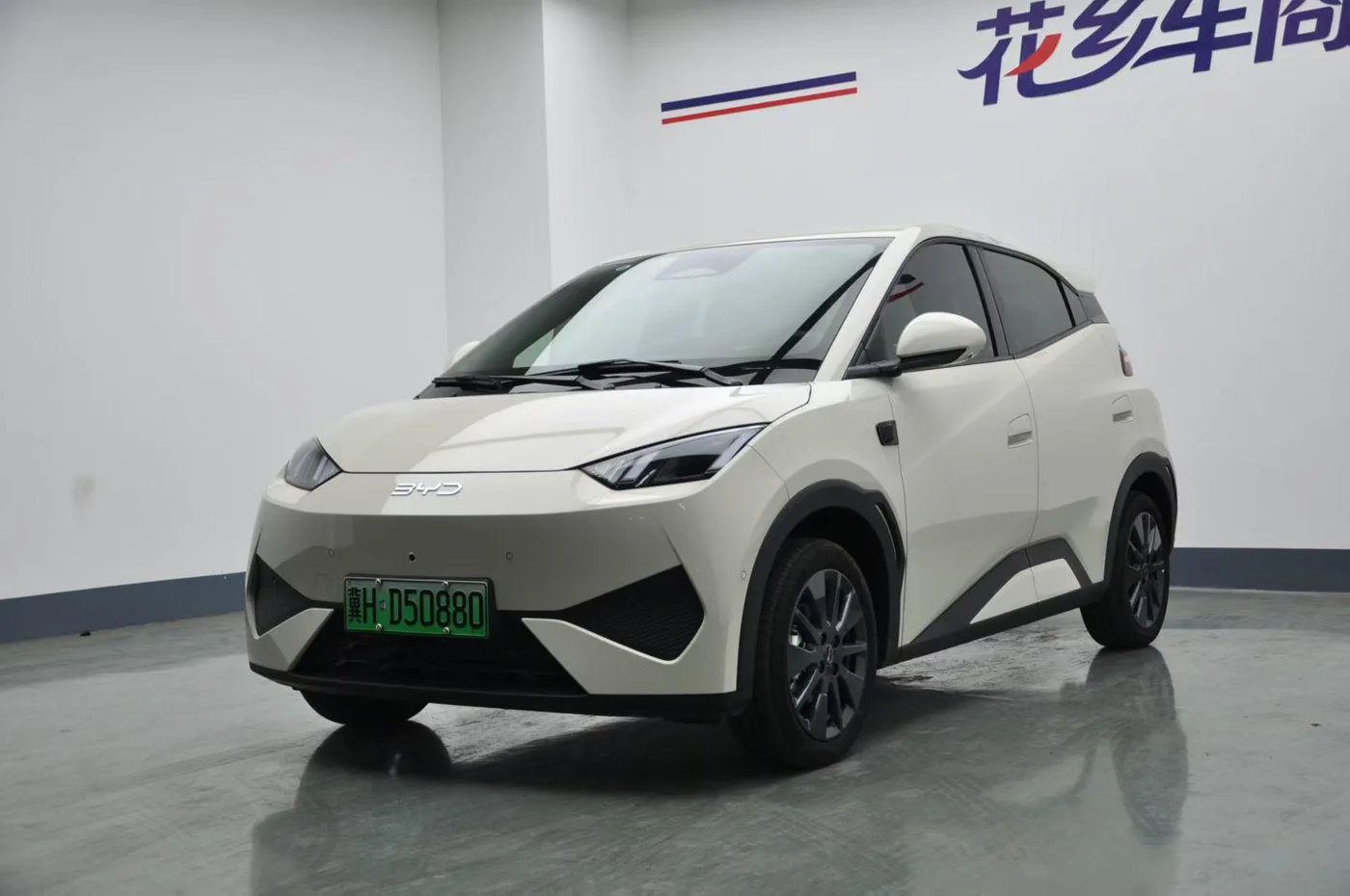BYD seagull