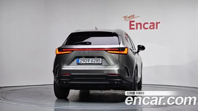 Lexus Nx NX350H, 2025 — фото 4