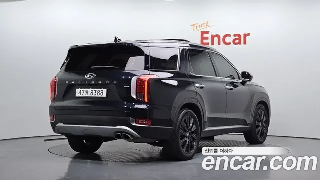 Hyundai Palisade, 2019 — фото 2