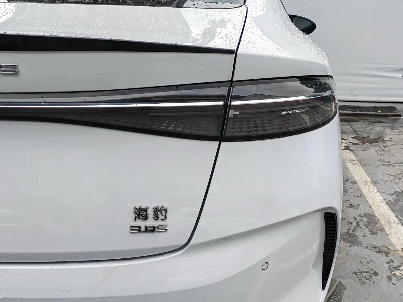 BYD seal, 2022 — фото 16