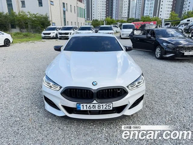 BMW 8-Series G15
