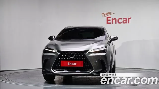 Lexus Nx NX350H, 2025 — фото 3