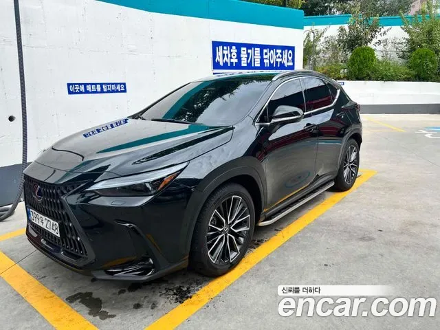 Lexus Nx NX350H, 2025 — фото 3