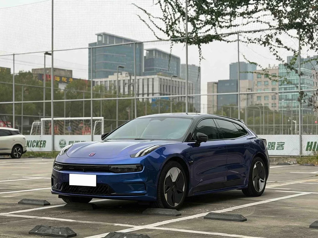 ZEEKR 001