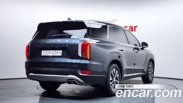 Hyundai Palisade, 2019 — фото 2