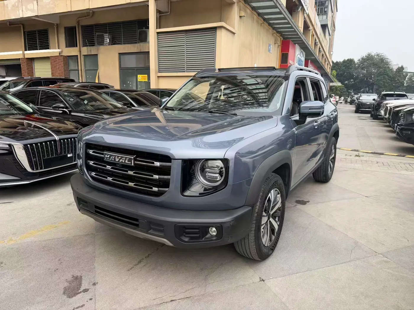 Haval Great Wall Dog