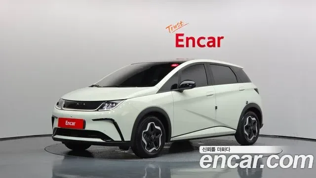 BYD Dolphin