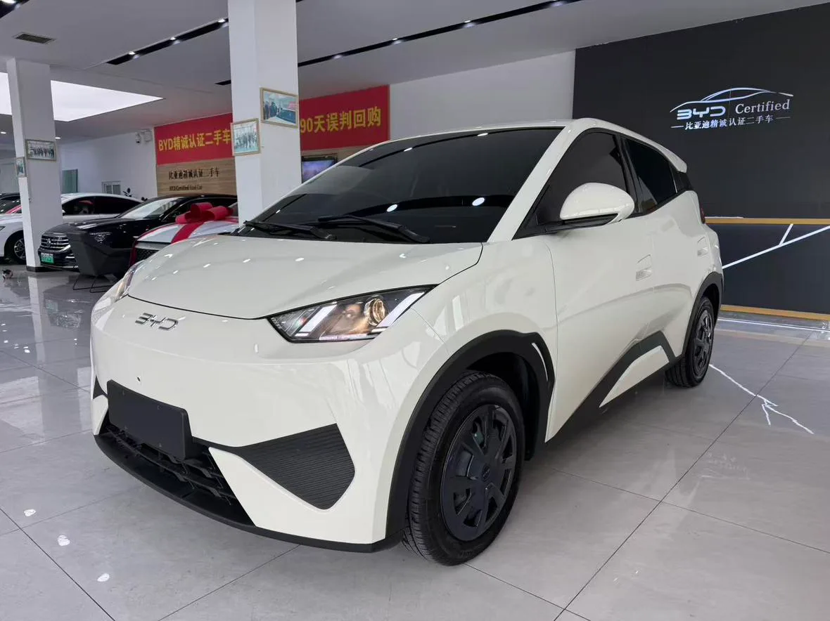 BYD seagull
