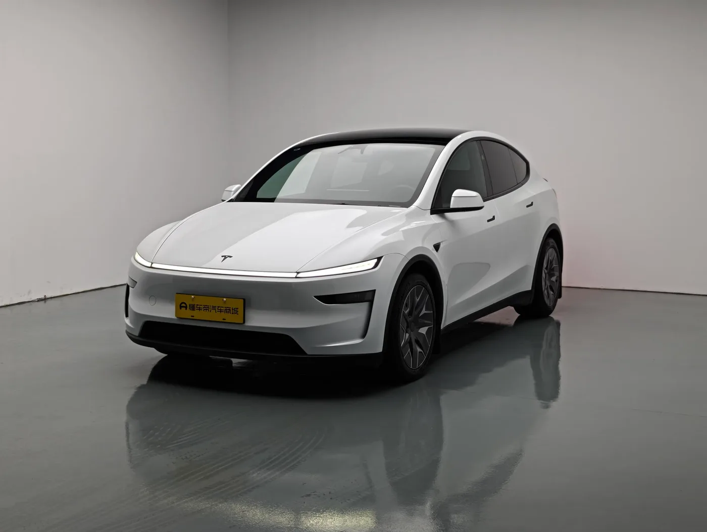 Tesla Model Y L