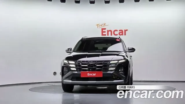 Hyundai Tucson NX4, 2024 — фото 3